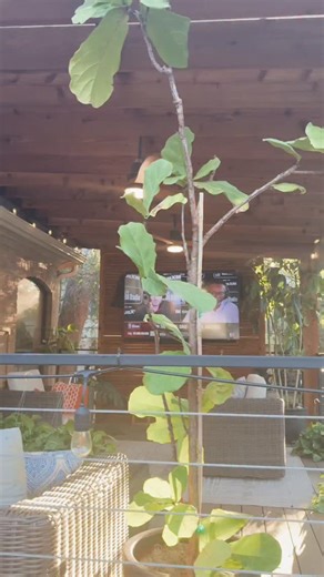 Ultra Custom Pools | ✨ Every detail matters — colors, textures, and elevation changes all come together to turn this once-simple backyard into a stunning,... | Instagram