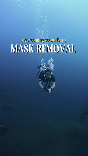 Removing your mask underwater - every favorite skill! 😛 Don’t be discouraged if you find it a bit challenging, we’ll help you through it. Use these tips to become more comfortable with this crucial safety skill of the Open Water Course⟿ 🌞 Try this - while standing in water, immerse your face and breathe from only a snorkel. 🌞 Grab a snorkel and some swimming goggles (not a scuba mask) and go for a swim. This will help you practice breathing in only air from your mouth, and not water from your