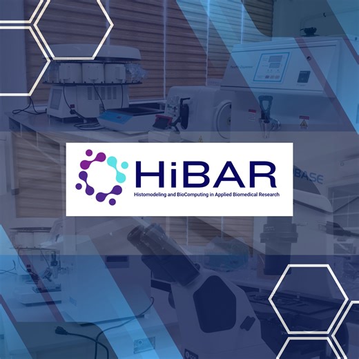 Center for Histomodeling and BioComputing in Applied Biomedical Research | Batac