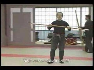Hatsumi Bujinkan Daikomyosai 1993