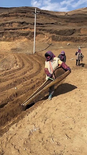 Rural Farming Techniques in Challenging Terraced Terrain