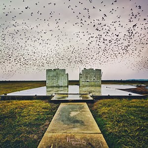 Holus Bolus, by Lord Buffalo