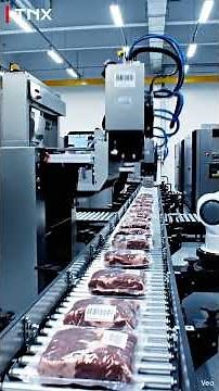 Cow Beef Export Processing Factory Tour | Non-Graphic Industrial Workflow #ai