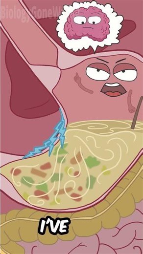 Mad At Your Husband? Why Your Stomach Hurts