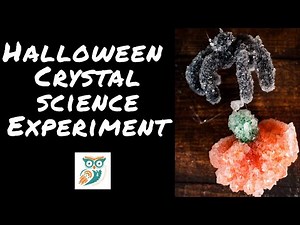Halloween Crystal Experiment - Making Crystal Spiders and Pumpkins with Science