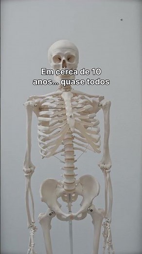 👉 Your Bones Are Alive Now