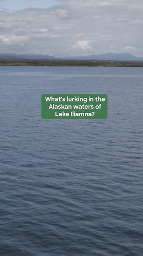 Alaskan Lake Monster: Fact or Fiction?