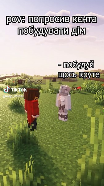 UAP Project: Private Minecraft Server Insights