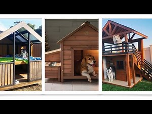 Beautiful and Modern Dog Houses | Best Outdoor Dog Houses | Ideas for Dog Houses