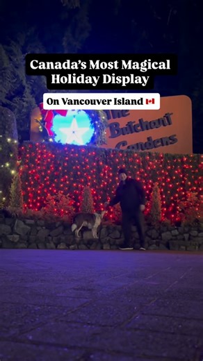 🎄✨ Canada’s Most Wondrous Holiday Light Experience — @thebutchartgardens at Christmas 🌟🇨🇦 Every winter, Butchart Gardens transforms into a dazzling holiday wonderland that feels straight out of a storybook — and 2025’s setup is no exception. 🌟 Here’s everything you need to know: • 🎆 Magic of Christmas Lights Display — from Dec 1 to Jan 6 • 🎄 “Twelve Days of Christmas” Light Installations — wander the pathways to discover each whimsical scene while classic carols play under the glow of mil