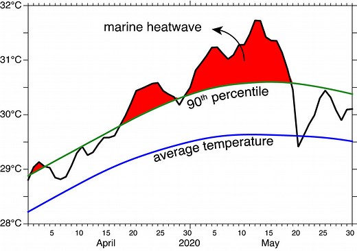 Increasing Marine Heatwaves in the Indian Ocean and the Monsoon