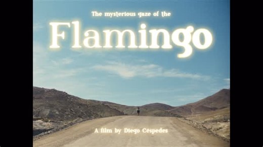 Metro Cinema on Instagram: "THE MYSTERIOUS GAZE OF THE FLAMINGO In the early 80’s in the Chilean desert, eleven-year-old Lidia grows up in a loving queer family pushed on the edge of an unwelcoming dusty mining town. They are blamed for a mysterious illness that’s starting to spread - said to be passed through a single gaze, when one man falls in love with another. In this modern western, Lidia leads a quest for vengeance, facing violence, fear and hatred, where family is her only refuge and lov