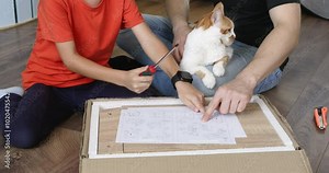 Preschooler looks at instructions drawing handing screwdriver to dad. Young boy studies manuals and father shows holes with tool. Man holds cat on knees