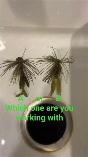 Hags Baits has got some of the best Jigs on the market! Which trailer are you working with?