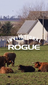 1K views · 21 reactions | 3 months and 18 days until we kick off the 2024 Rogue Invitational in Scotland, but who's counting? Tickets and experience packages are still available at the link below. Get yours while you can! https://www.roguefitness.com/invitational/tickets #rogueinvitational #ryourogue | Rogue Invitational | Facebook