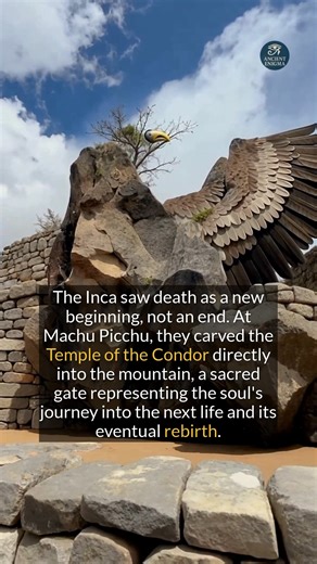 The Inca saw death as a sacred journey, carving temples to guide souls into the next life. #history #ancienthistory #archaeology | Ancient Enigma