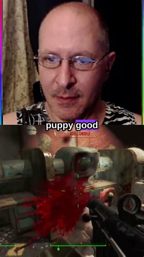 Dogmeat Is A Good Boy! | #fallout4 #twitchclips