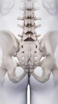 🦴 Why Some People Have an Extra Vertebra! 🤯 | Lumbarization & Sacralization
