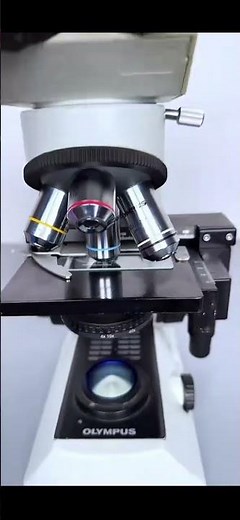 Face pimples under a microscope