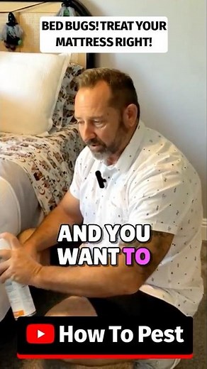 Bed Bugs or Fleas? Treat Your Mattress Like a Pro.! #BedBugs #BedBugControl #Fleas #FleaControl #DIY