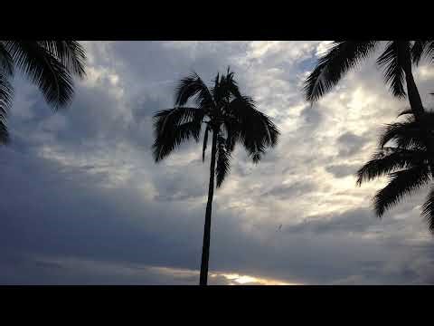 Devils roulette | Powered by LIV