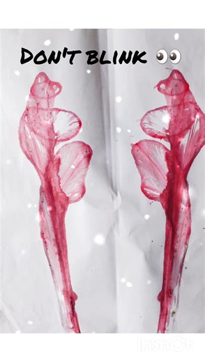 #ThreadArt #DIYFlower #HandmadeCraft #Shorts #ArtVideo