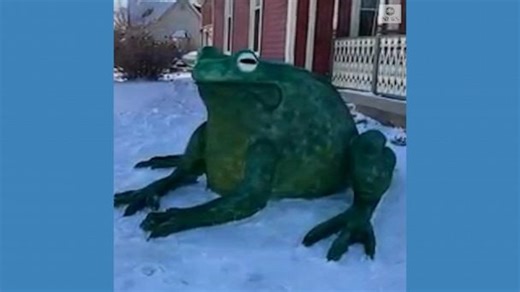 Artist creates giant snow bullfrog sculpture