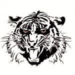 Moon Area 07 - Schedule