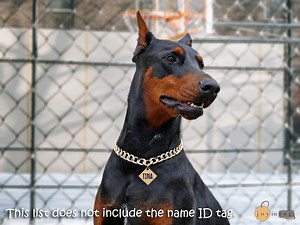 Custom Metal Pet Collar Chain | Cute Pet Collar Chain | Designer Pet Collar Chain | Best Pet Supplies | Custom Dog Chain | Dog Mom Gift - Etsy