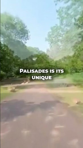 Experience Nature's Sculptures at Palisades State Park
