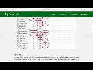 How to Circle Invalid Data in Excel - Data Validation