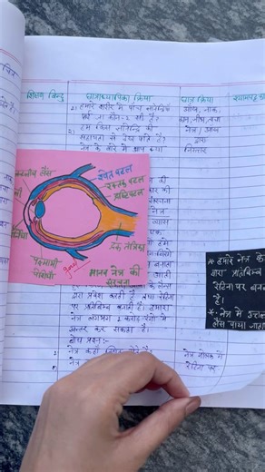 B.Ed lesson plan #bstc #D.El.Ed नेत्र दैनिक पाठ योजना #b.ed