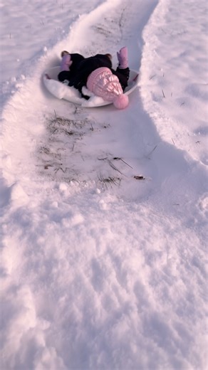 Lisa King on Instagram: "Her little snort 🤣🥹 Darcy Lou loves the snow! ❄️ #snowday #sleighride #doyouwannabuildasnowman⛄️"