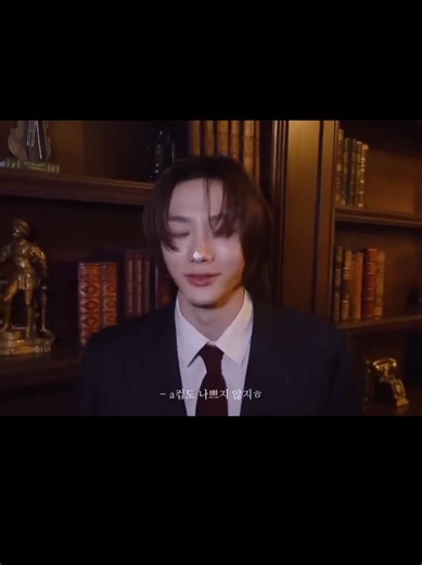 고양이와 함께하는 편안한 밤