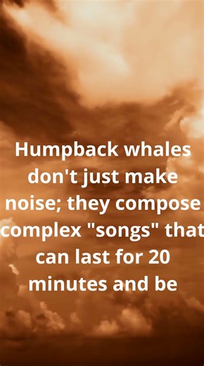 The Forest's Hidden Brain