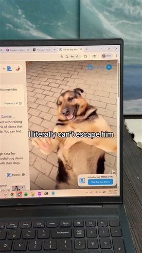 See more when you search on Presearch #memes