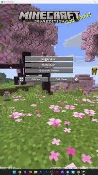 How To XRay in Minecraft Java Edition