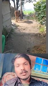 95K views · 14K reactions | #sunilpradad #viralvideoシ #fb #reelsviralシ #newreels #fypシ #trendingreels #viralreelsシ #trend #viralpost2024 | sunilprasad | Facebook