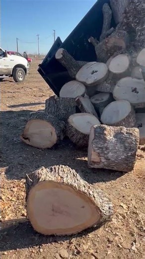 Tree services in tulsa Ok. (918) 986-5824 #safety #reliable #professional #treeremoval #trending