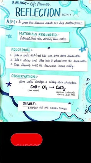 🔬 Biology Experiment | Exhaled Air Contains CO₂ | Science Project #Shorts | Class 10 Biology Project