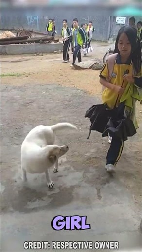 Amazing Way Dog Recognizes Owner Among Crowd 🤯🐾 #viral