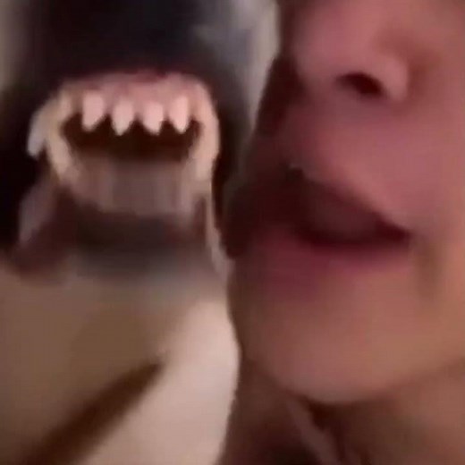 Beatboxing Dog Is Terrifyingly Awesome!!
