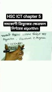 HSC ICT chapter 5 Algorithm for finding the area of ​​a right triangle