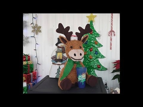 Spark Is Walmart Delivery Company Lets see how it works during Holidays