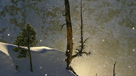 Combine subzero temperatures with a cloudless sky and what you get is a unique Yellowstone phenomenon known as diamond dust. | National Geographic TV