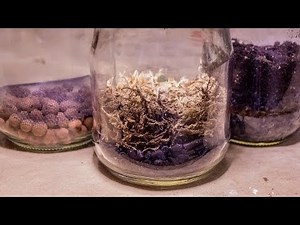 All About Terrarium False Bottoms (Purpose & Methods)