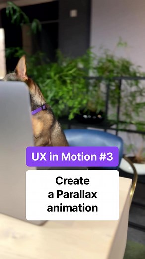 Create a Parallax animation ⚡ easy and fast with Proto.io ⚡ #uxui #uxdesign #uidesign #designtips #prototyping #dogsofinstagram #AppDesign #prototype | Proto.io