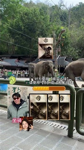 Explore Xishuangbanna's Delightful Elephants