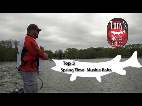 Top 5 Spring Muskie Baits