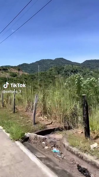 Videos de Cell pro (@cellpro_3) con “sonido original - Cell pro”